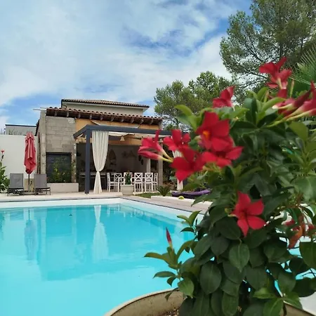 Prázdninový dům Ceven' O Calme T2 Avec Jacuzzi Prive, Piscine Et Jardin *